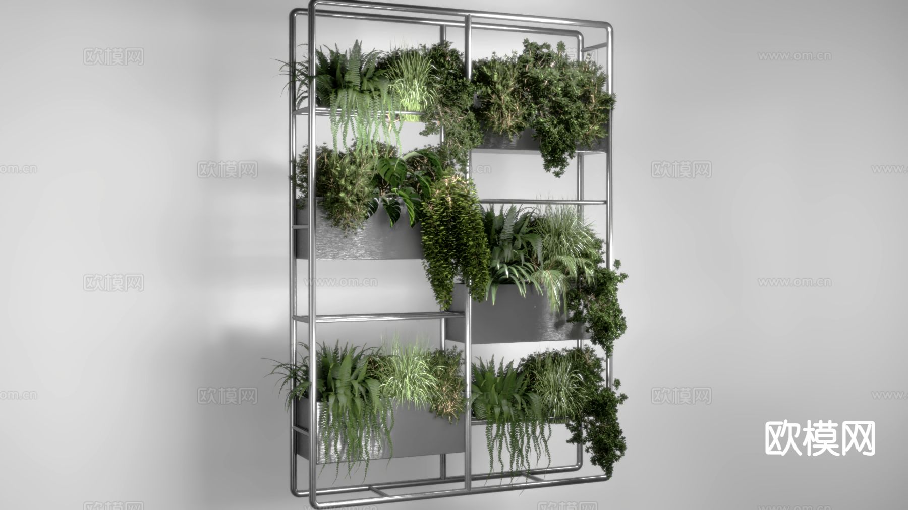 绿植吊篮 绿萝 绿植墙 植物盆景盆栽 绿植盆景盆栽3d模型