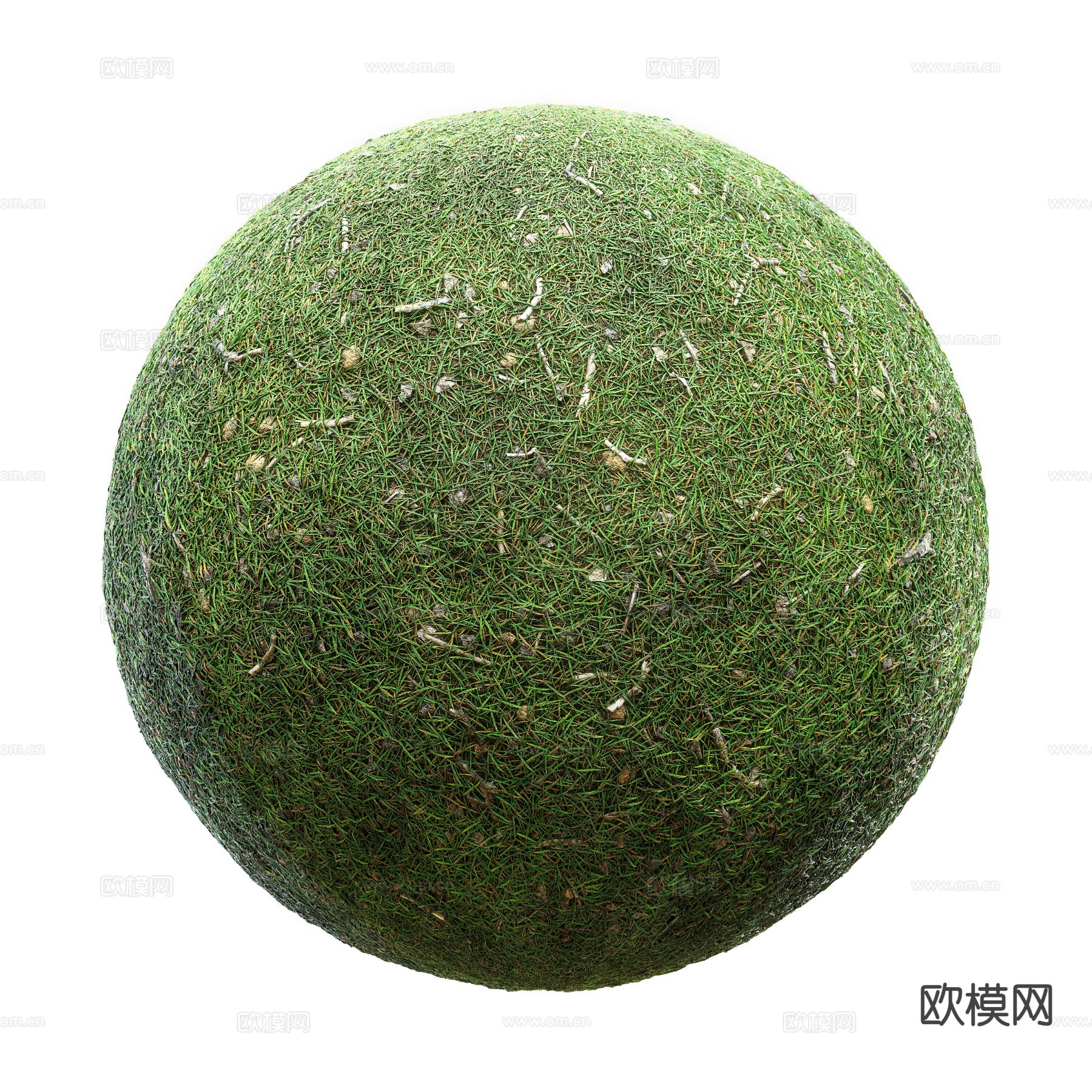 草坪 草地 花草 绿茵3d模型