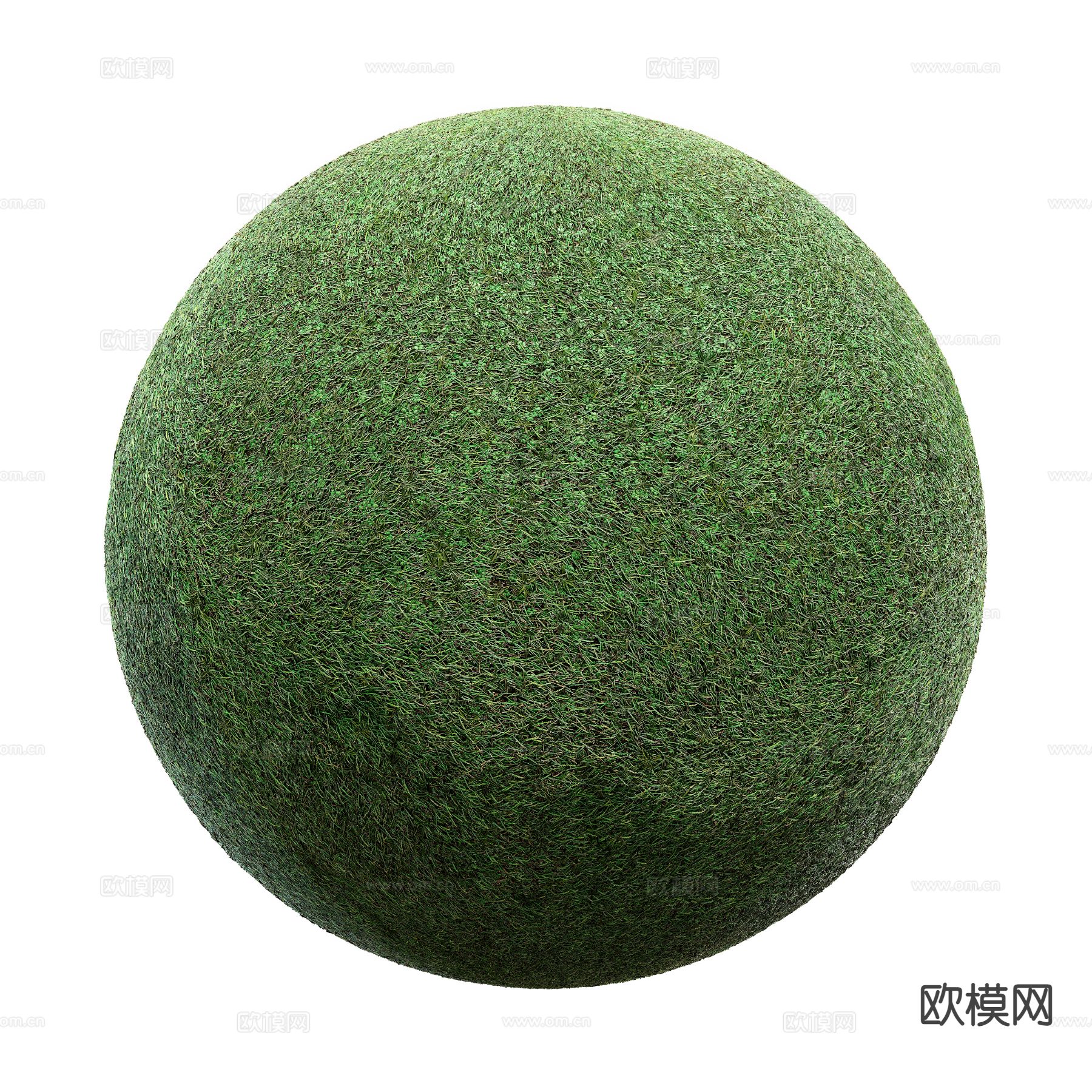 草坪 草地 花草 绿茵3d模型