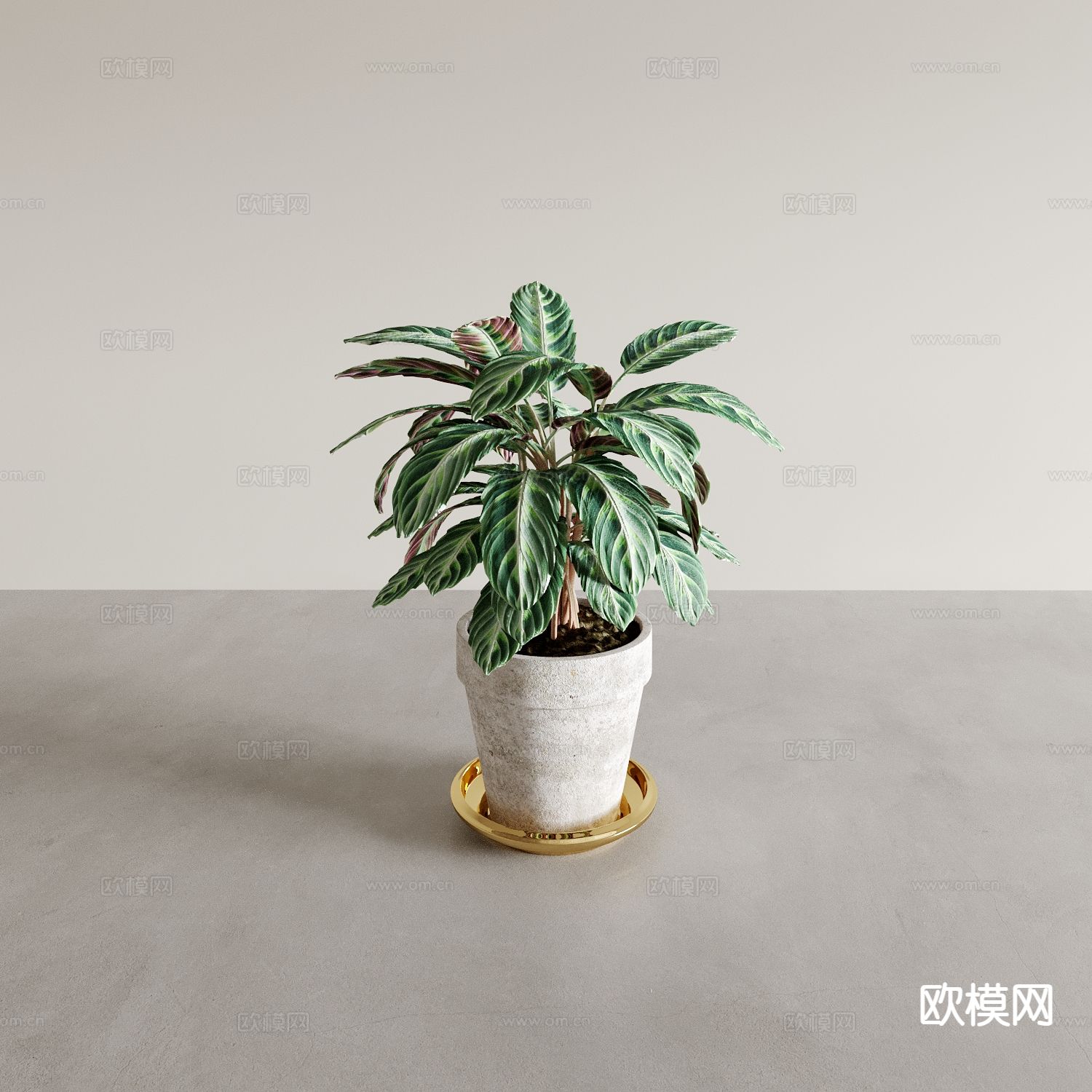 植物盆景 绿植 花盆3d模型