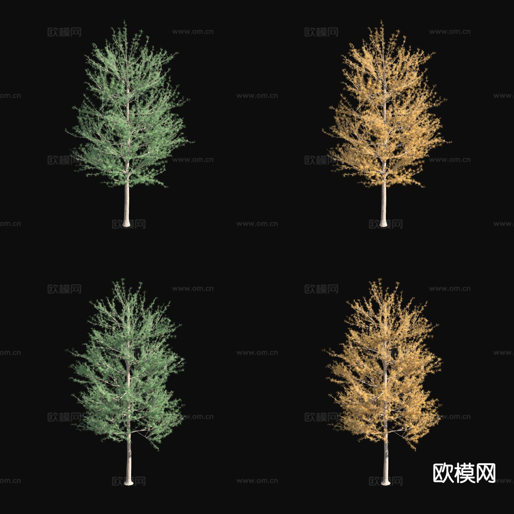 塔马拉克景观树 行道树3d模型