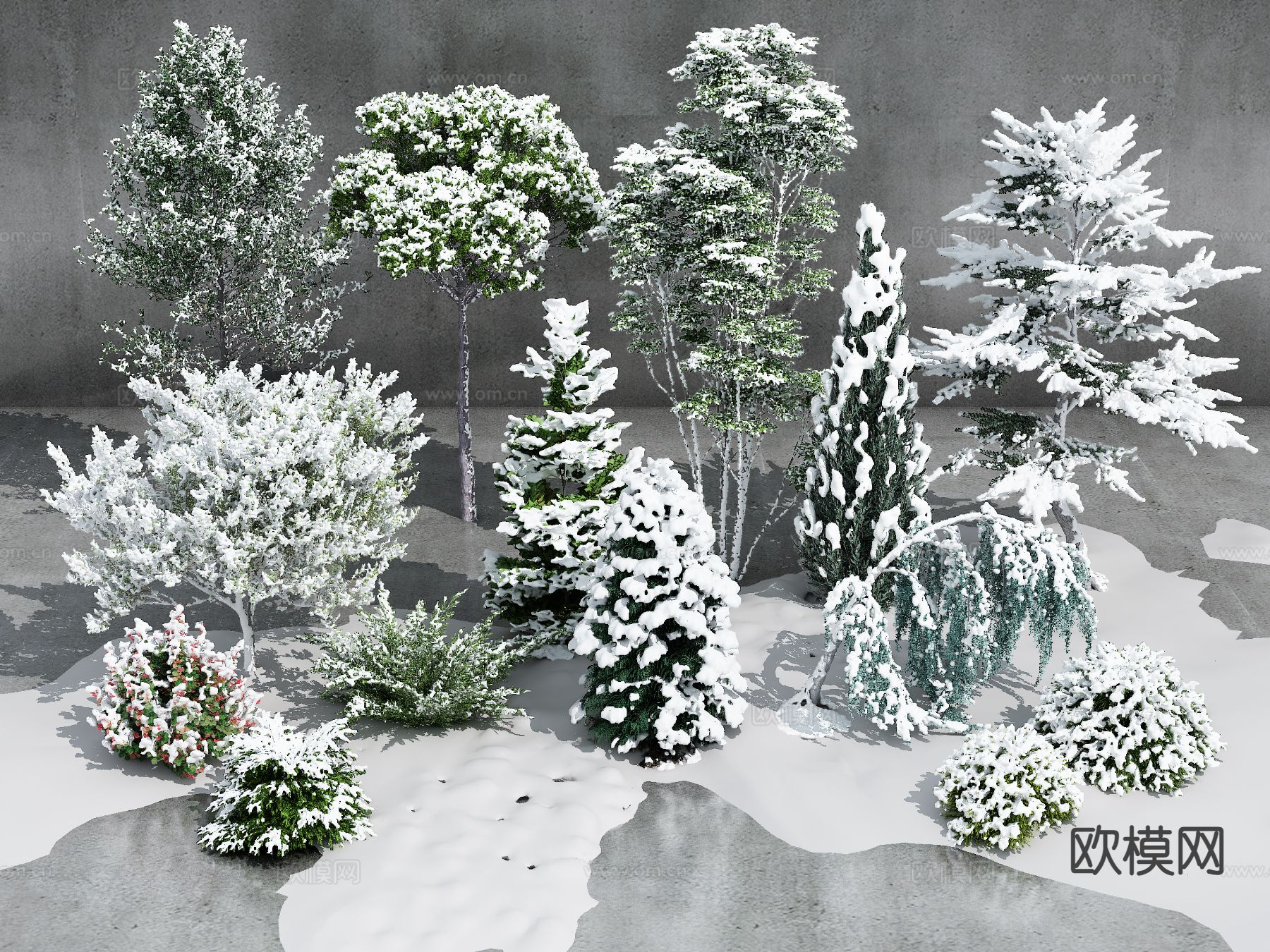 冬景树 雪景树 灌木3d模型