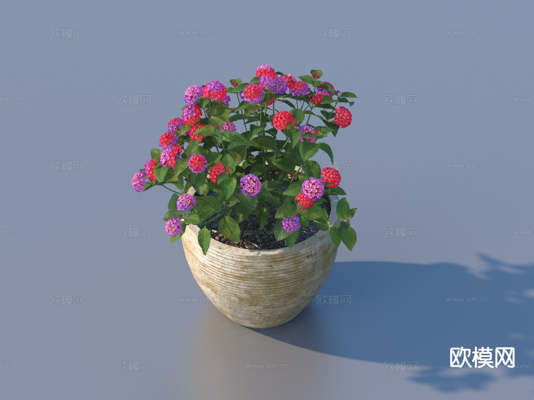 花盆 盆栽 绿植 植物3d模型