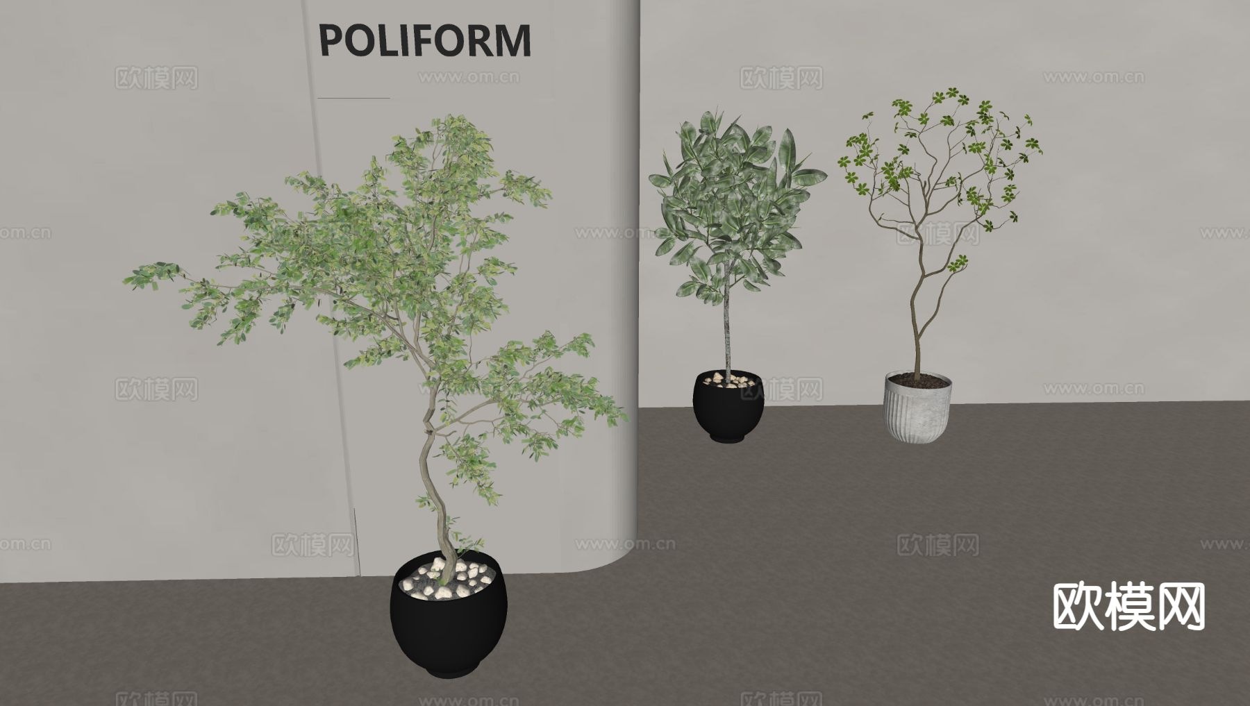 植物盆栽 绿植 花盆su模型