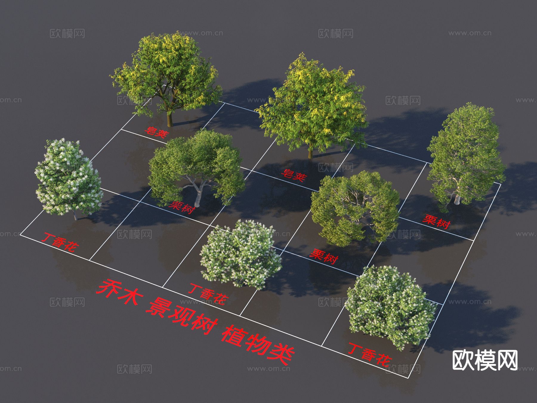 景观树 植物类  皂荚 栗树 丁香花3d模型