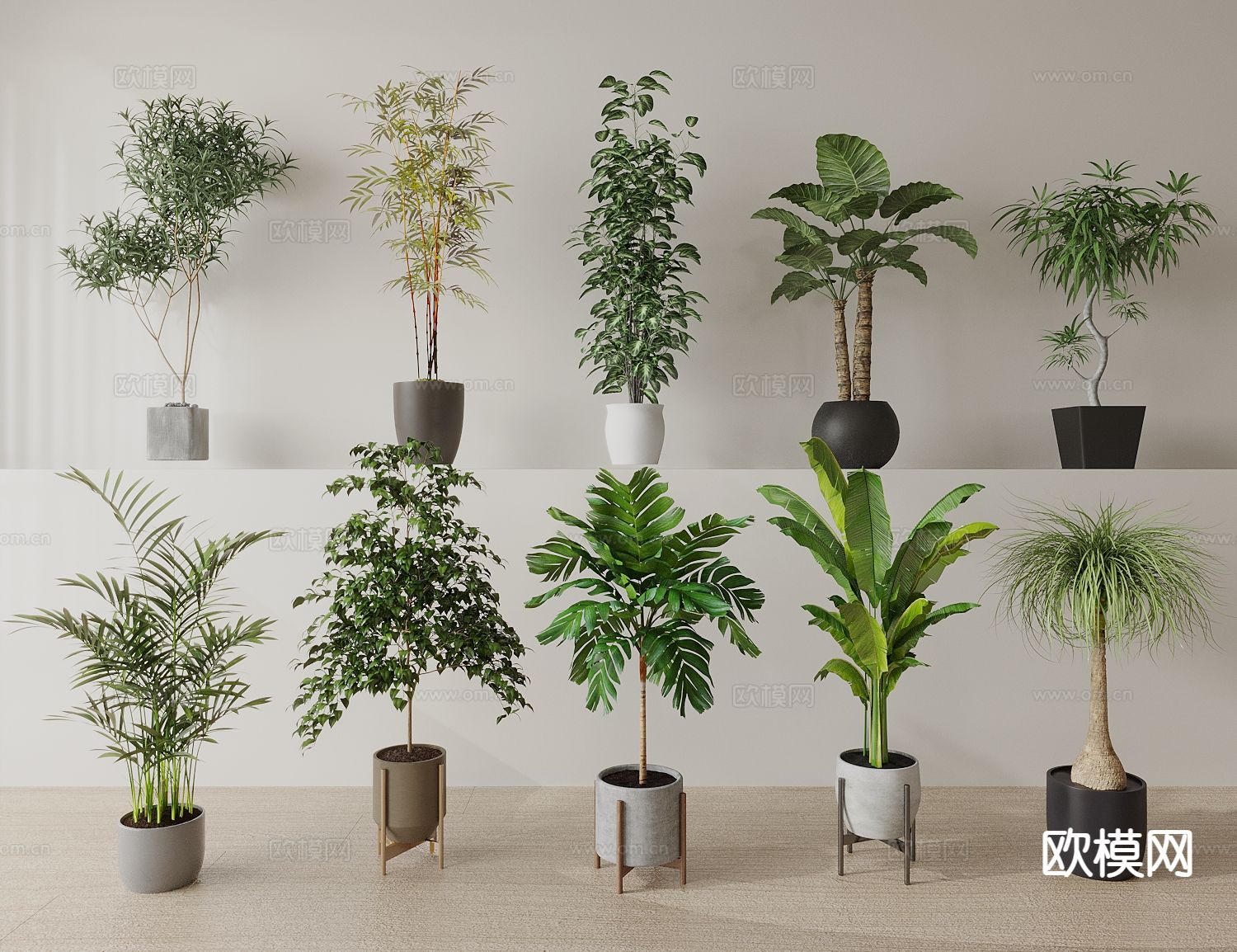 绿植盆栽 天堂鸟 罗汉松 吊兰3d模型