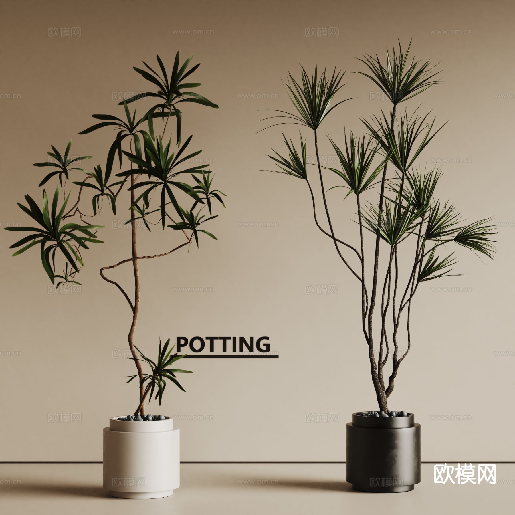 现代盆栽 盆景绿植 植物su模型