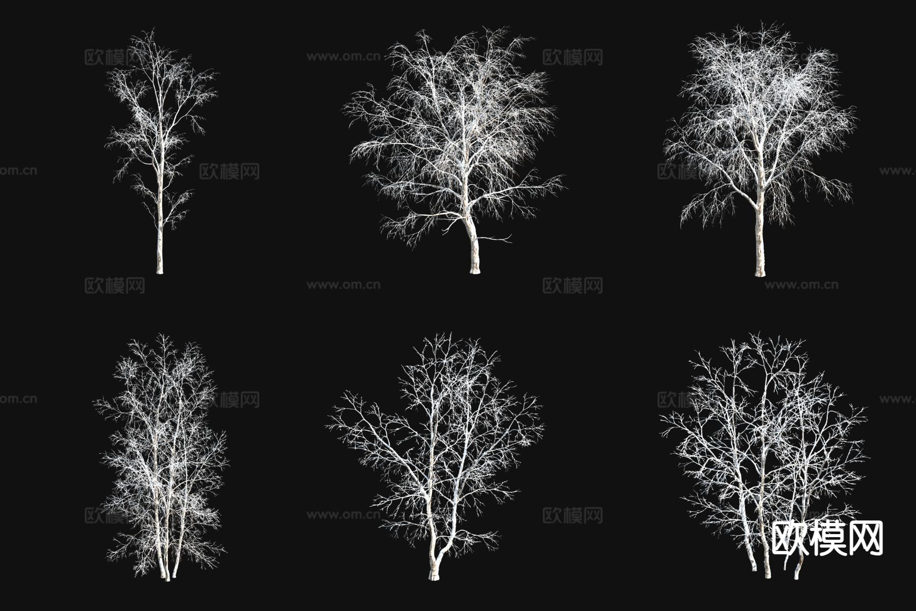 白桦树 雪景树 冬季树 枯树3d模型