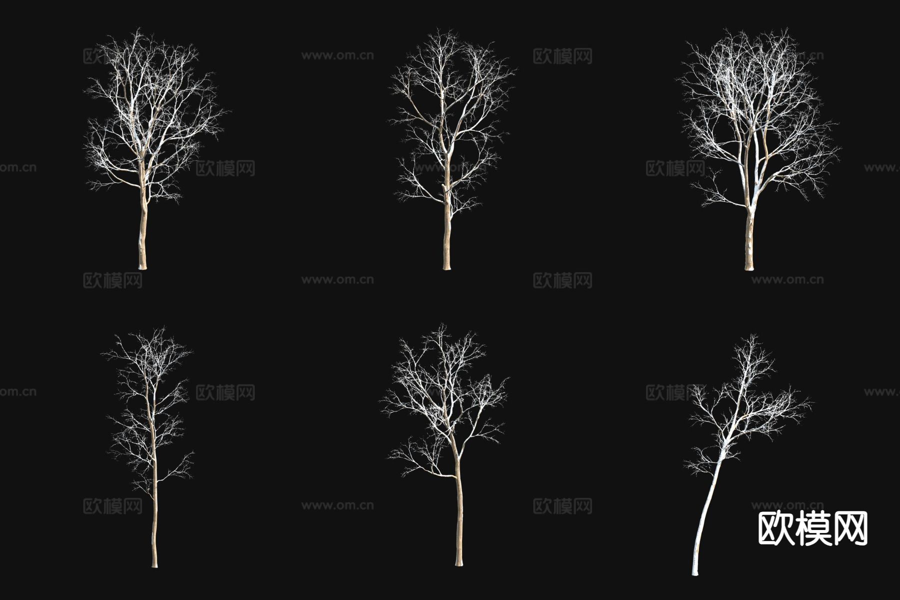 桤木树 雪景树 冬季树 枯树3d模型