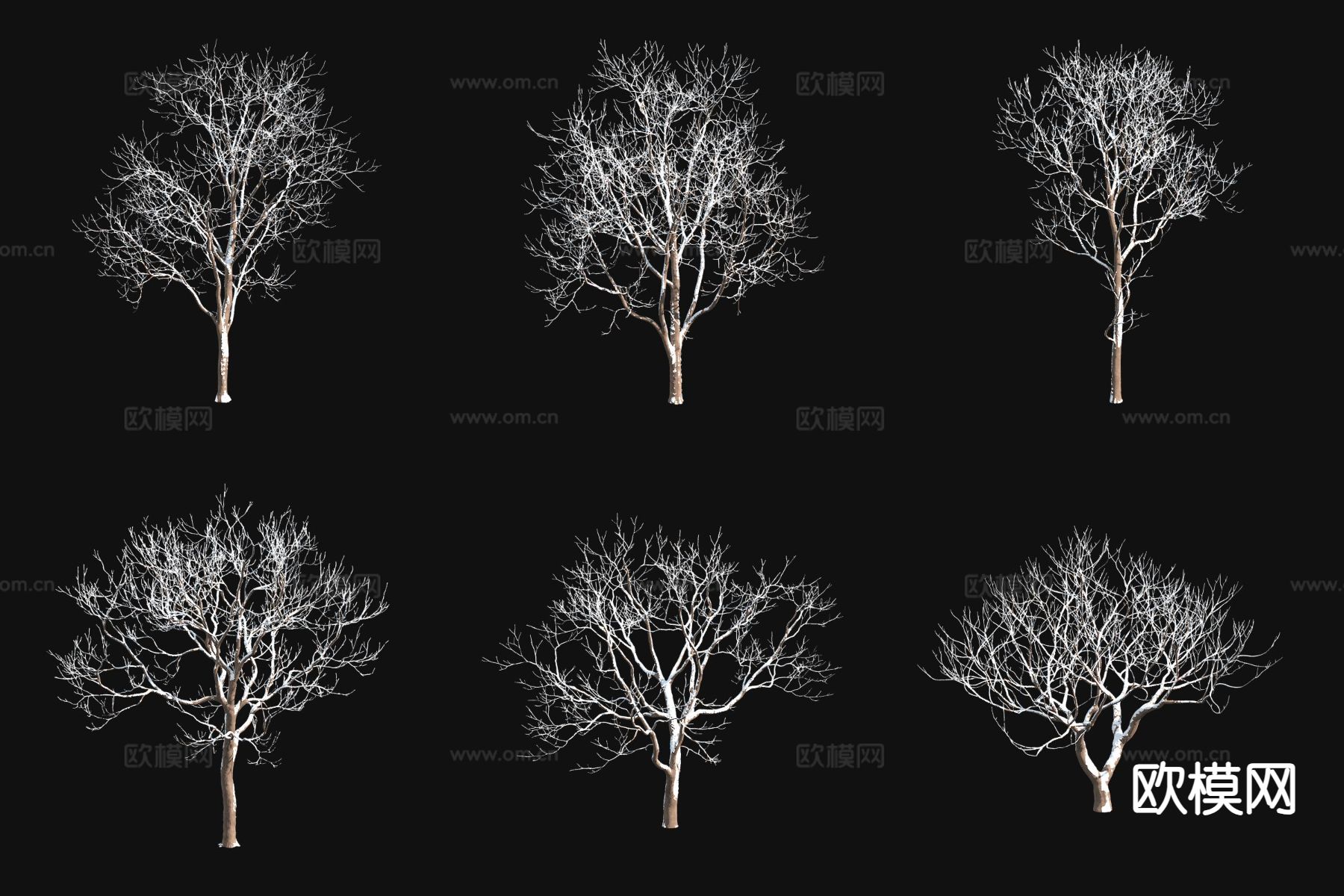 苦楝木树 雪景树 冬季树 枯树3d模型