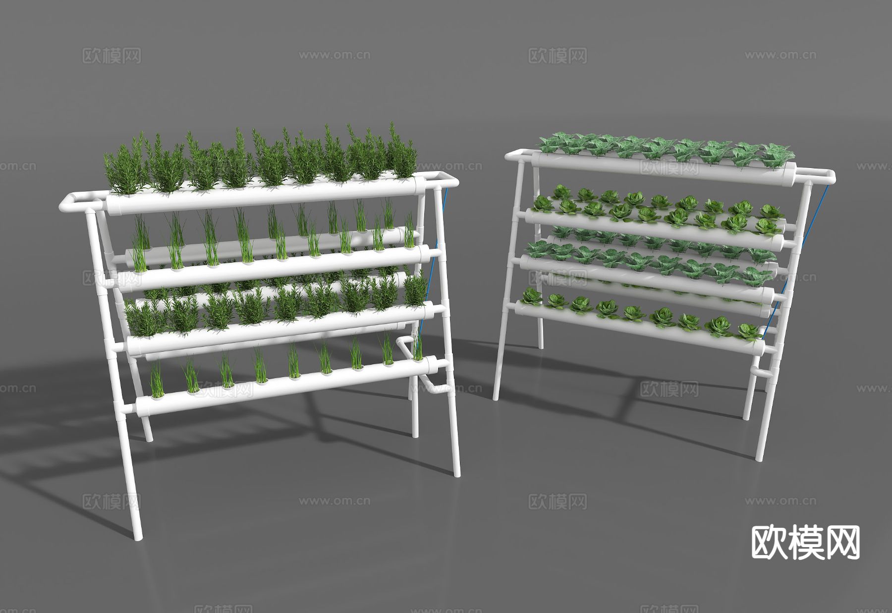 水培植物  无土栽培 植物架3d模型