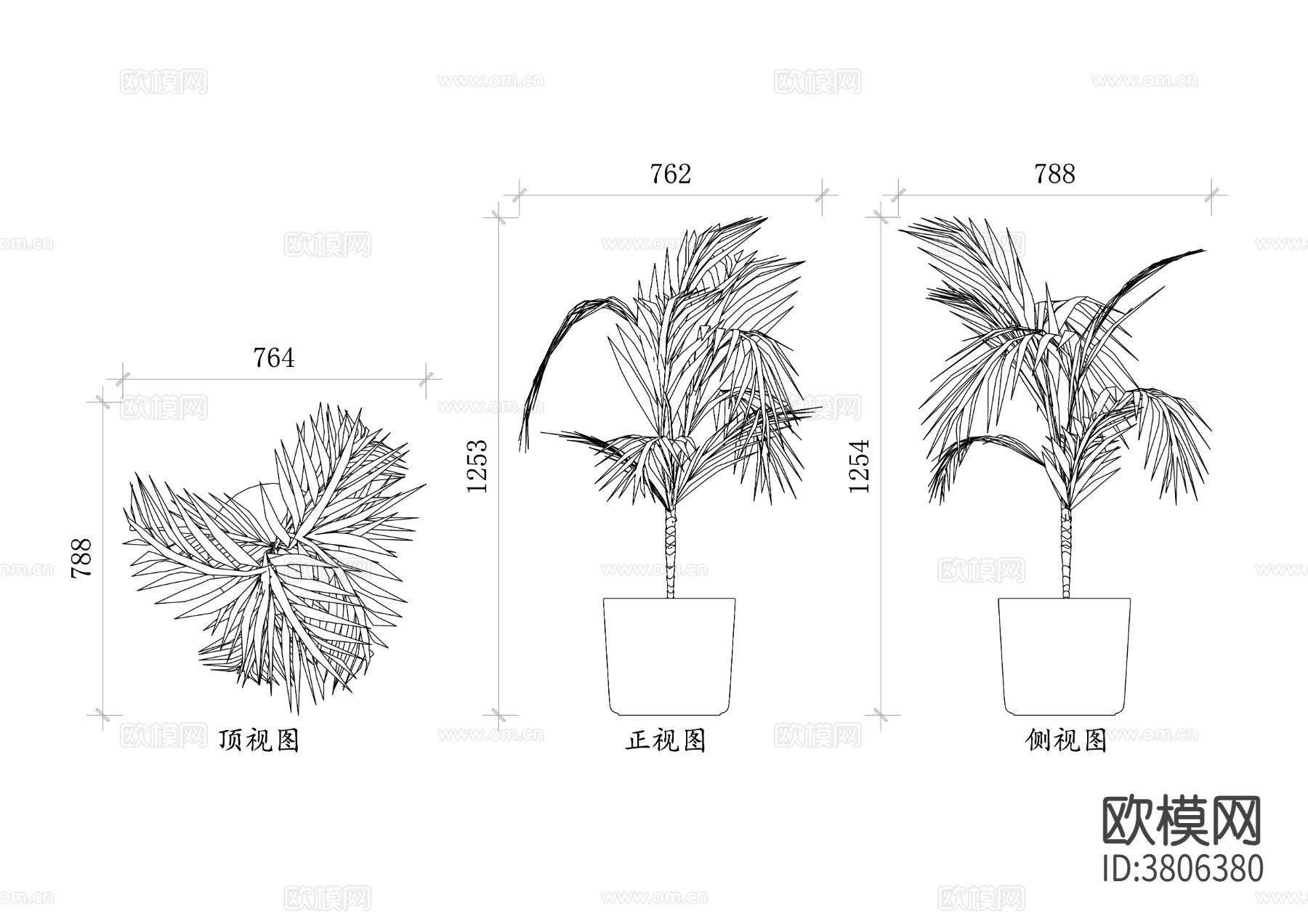 槟榔树盆景平面图 槟榔树盆景结构图 三视图