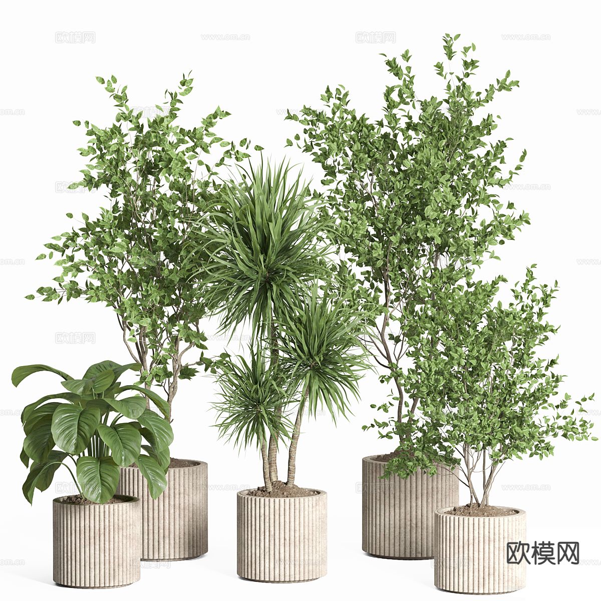 植物盆栽 绿植盆栽3d模型