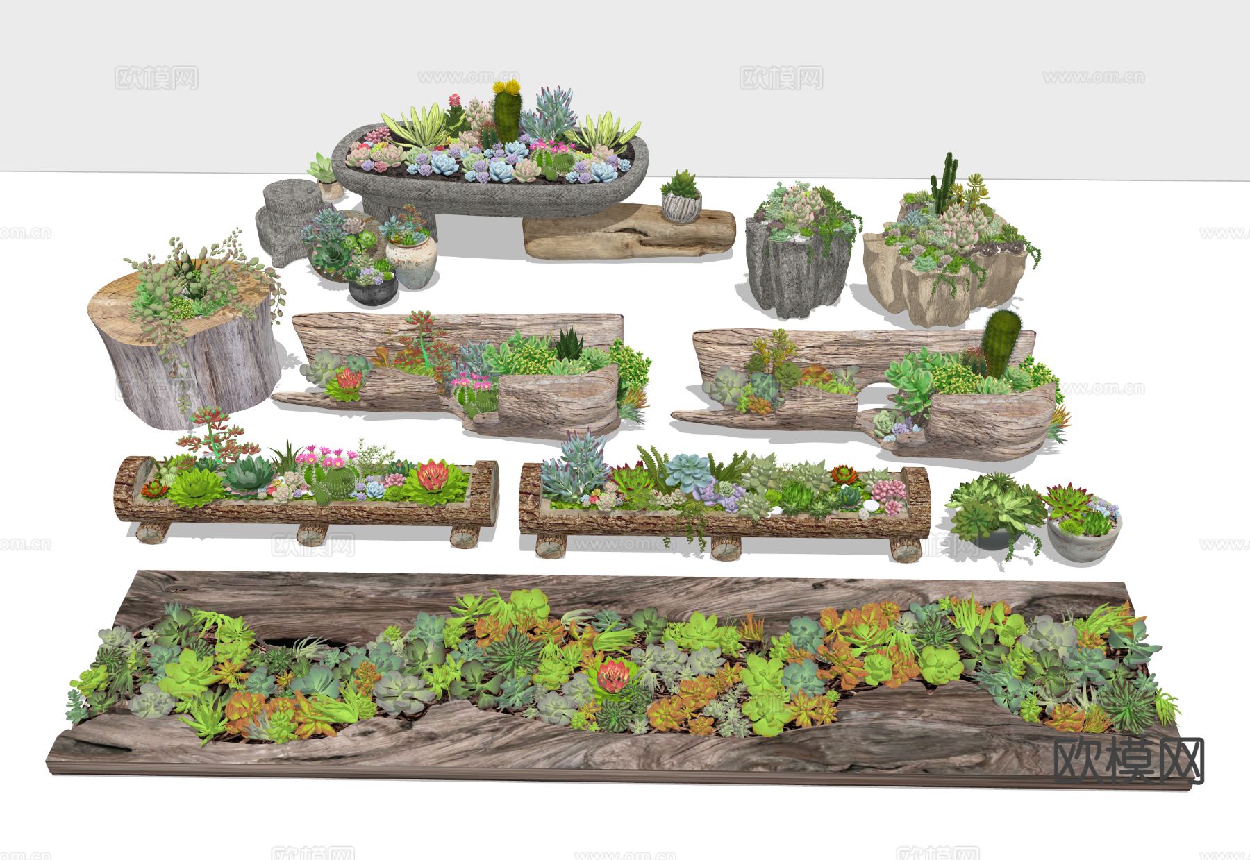 多肉树桩 多肉植物 多肉陶罐 盆栽su模型