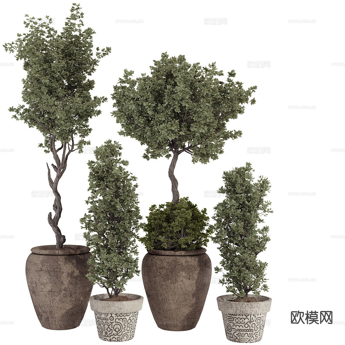 盆栽 花盆 植物3d模型