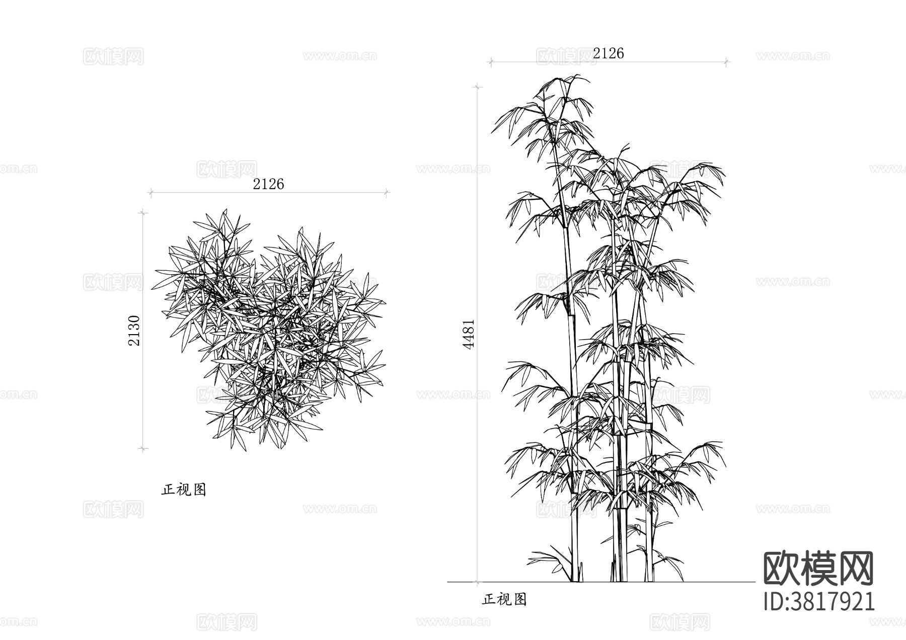 竹子植物 竹植物CAD图块