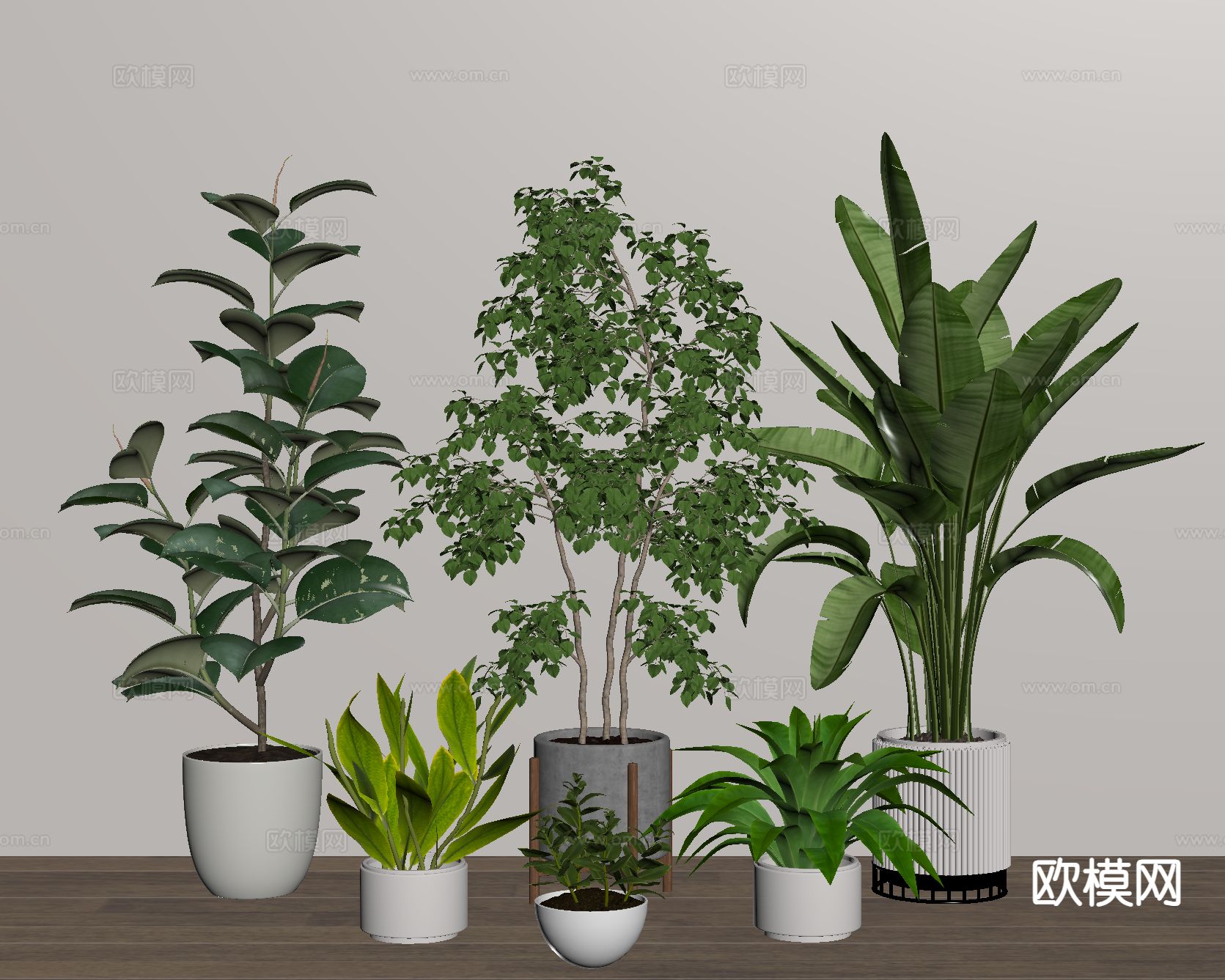 盆栽 盆景 绿植su模型