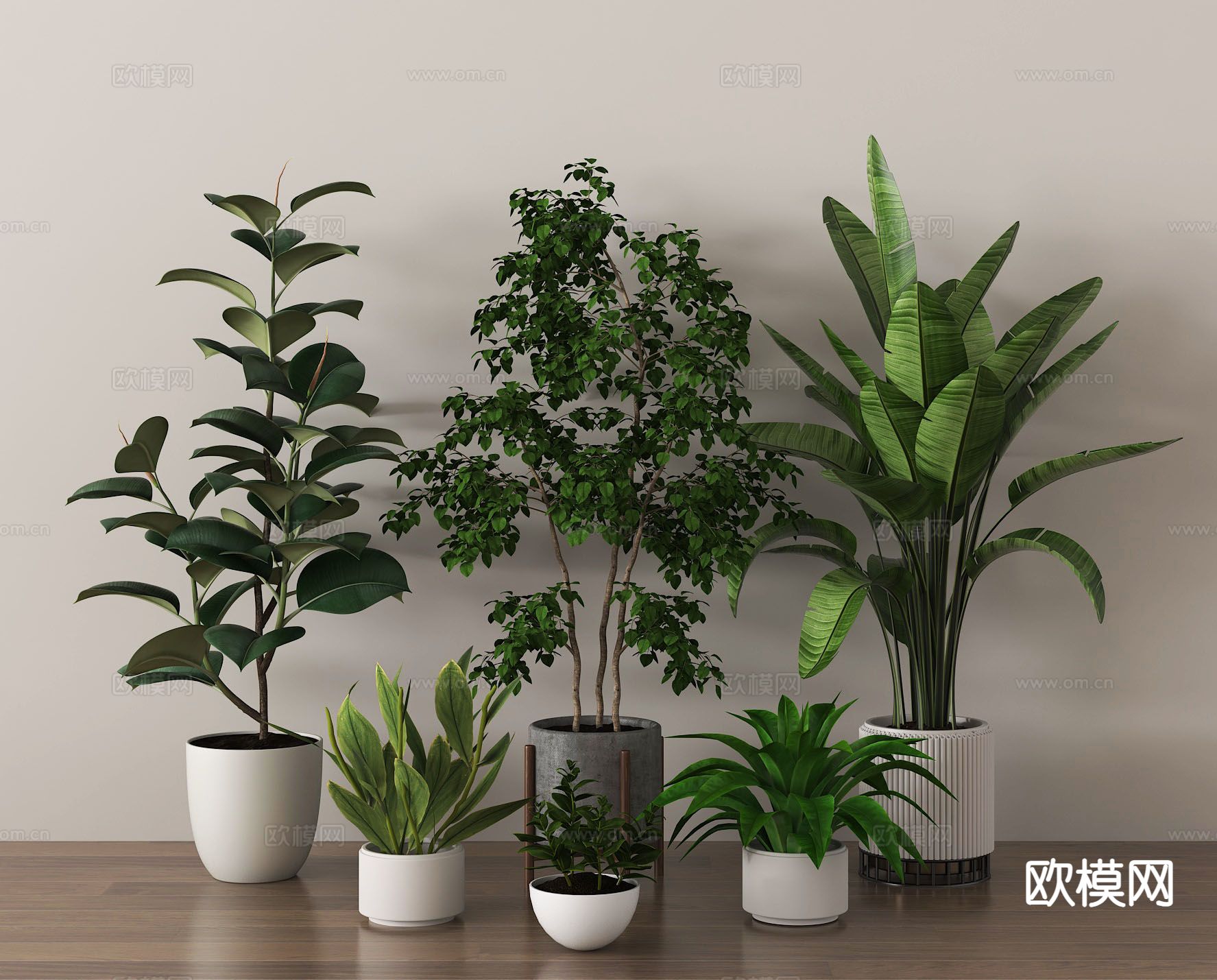 盆栽 盆景 绿植su模型