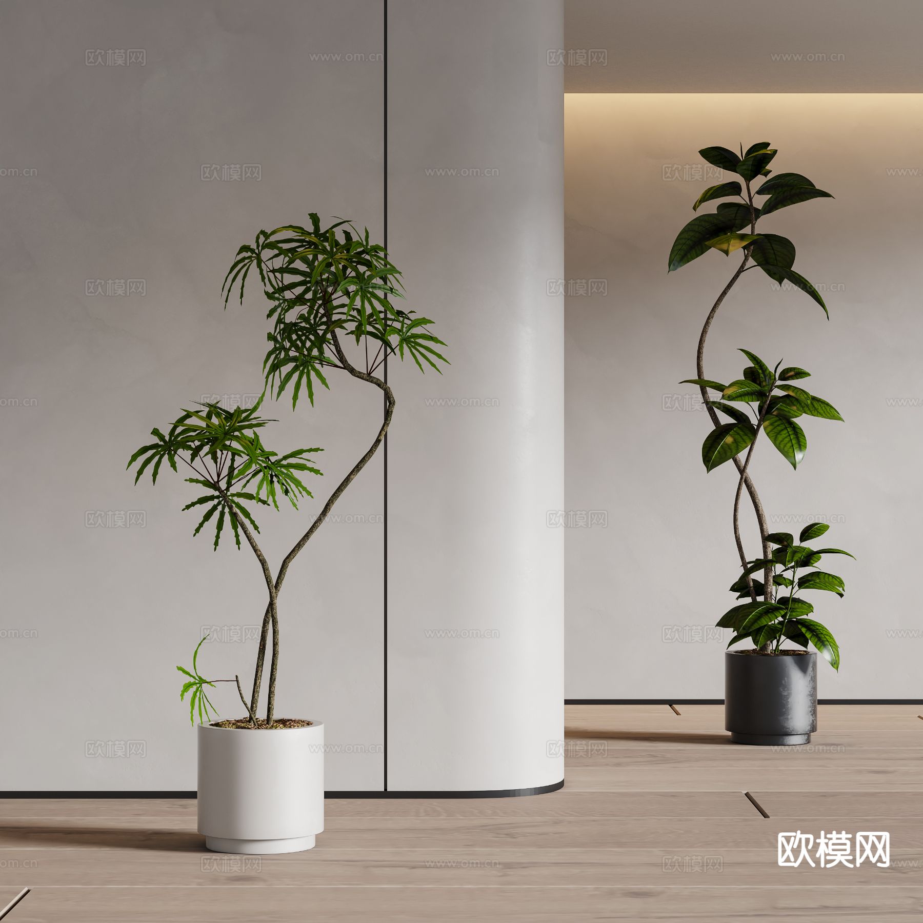 现代绿植盆栽su模型