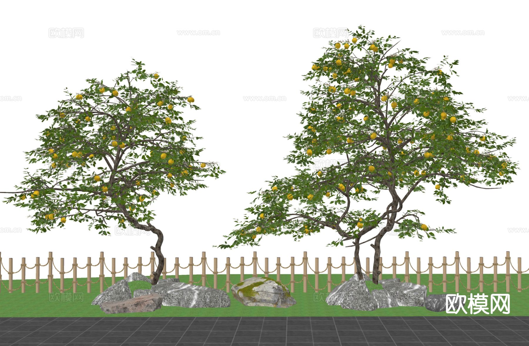 现代景观庭院乔木 柠檬树 橘子树su模型