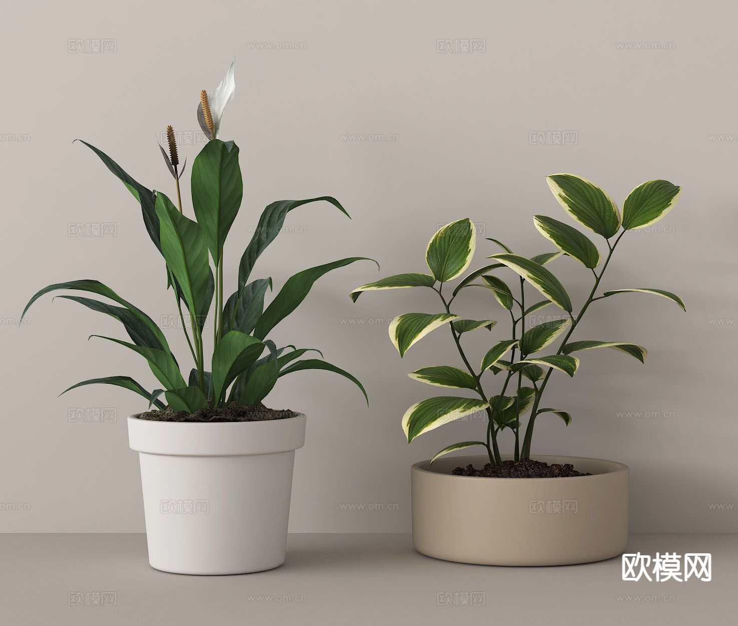 盆栽 盆景 绿植su模型