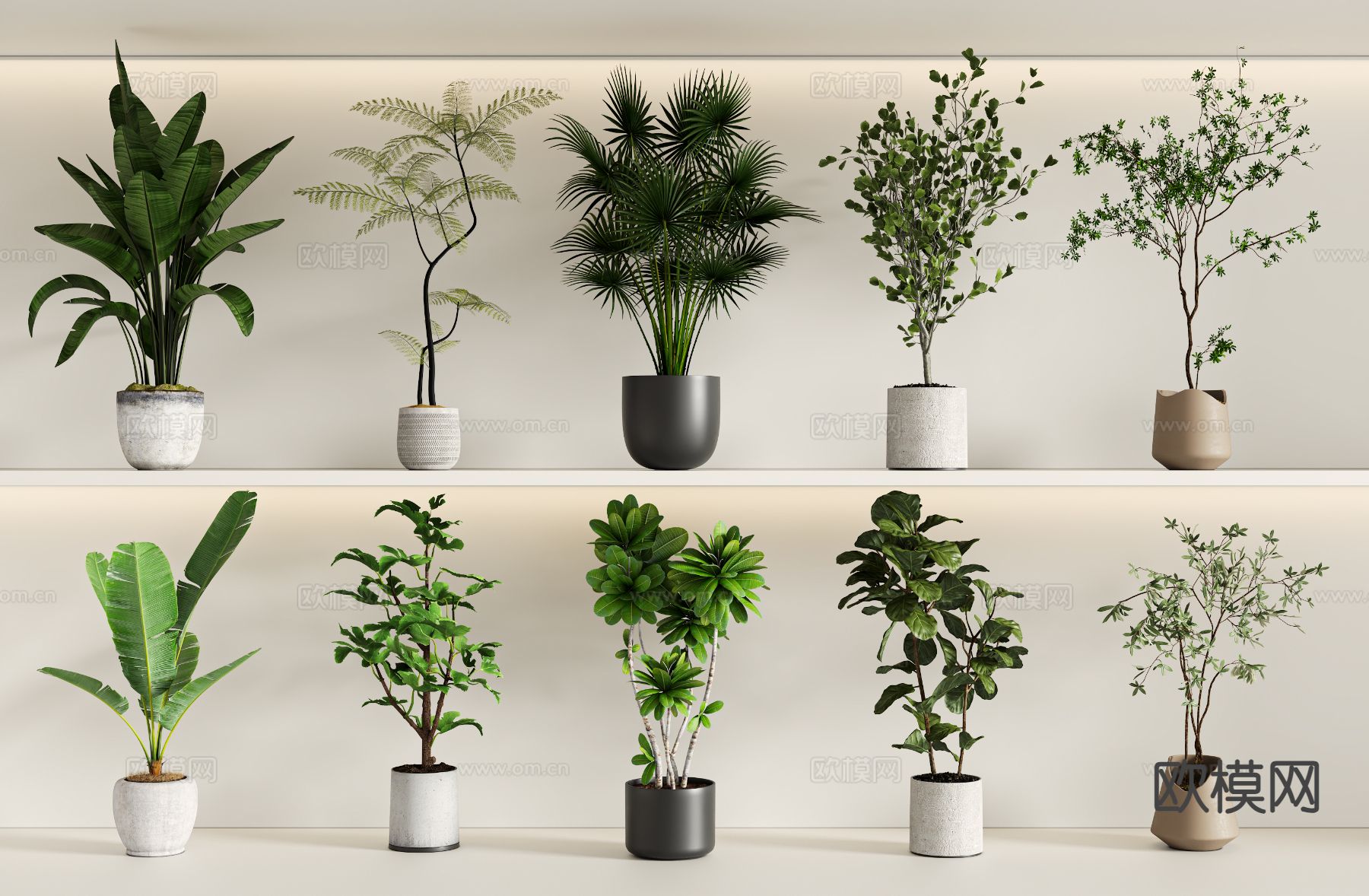 绿植盆栽 室内盆栽3d模型