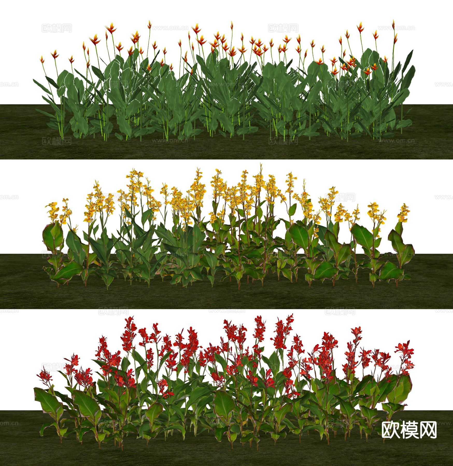 现代植物丛 绿植灌木 鸢尾花 绿篱花卉su模型