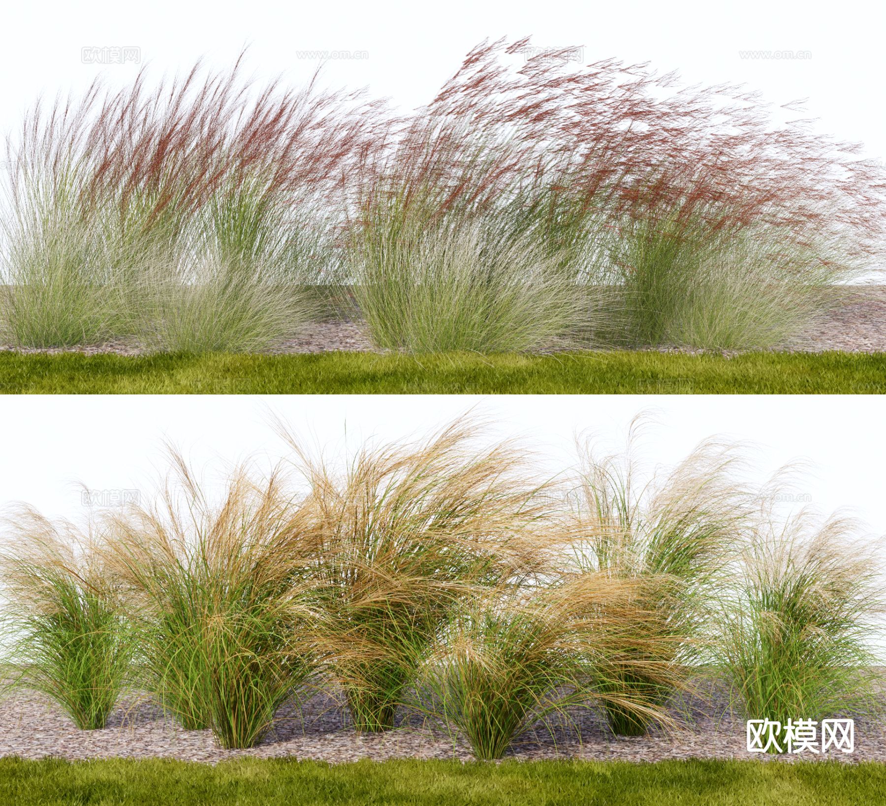 现代花草草堆 龙须草su模型