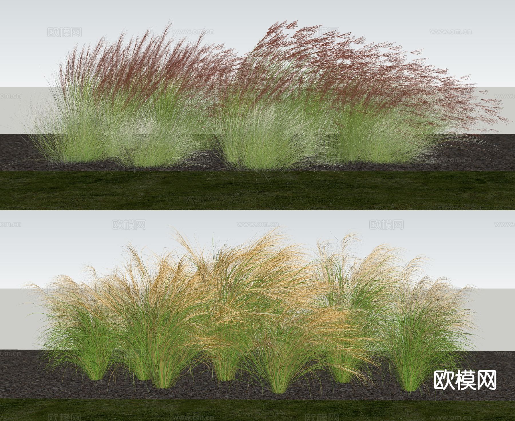 现代花草草堆 龙须草su模型