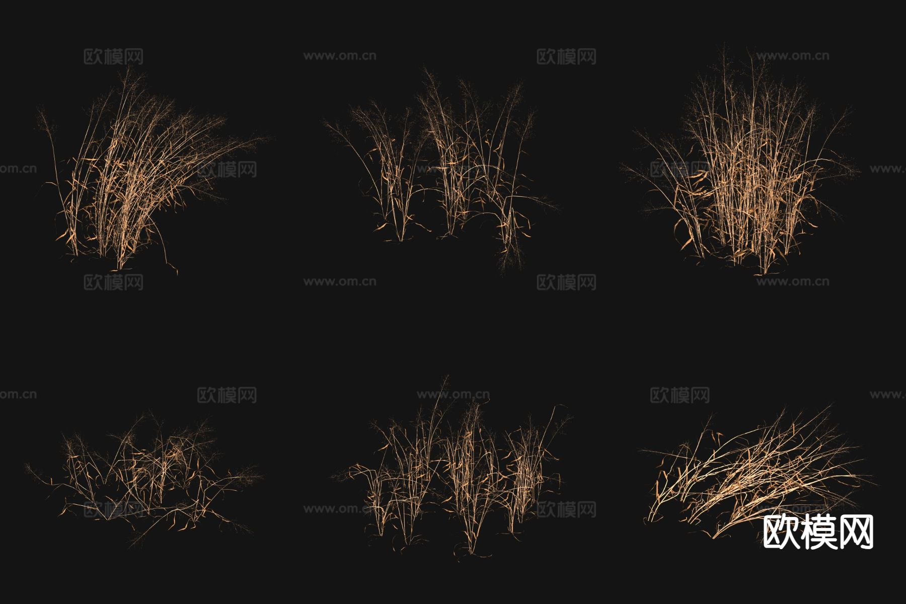 硬秆子草枯草3d模型