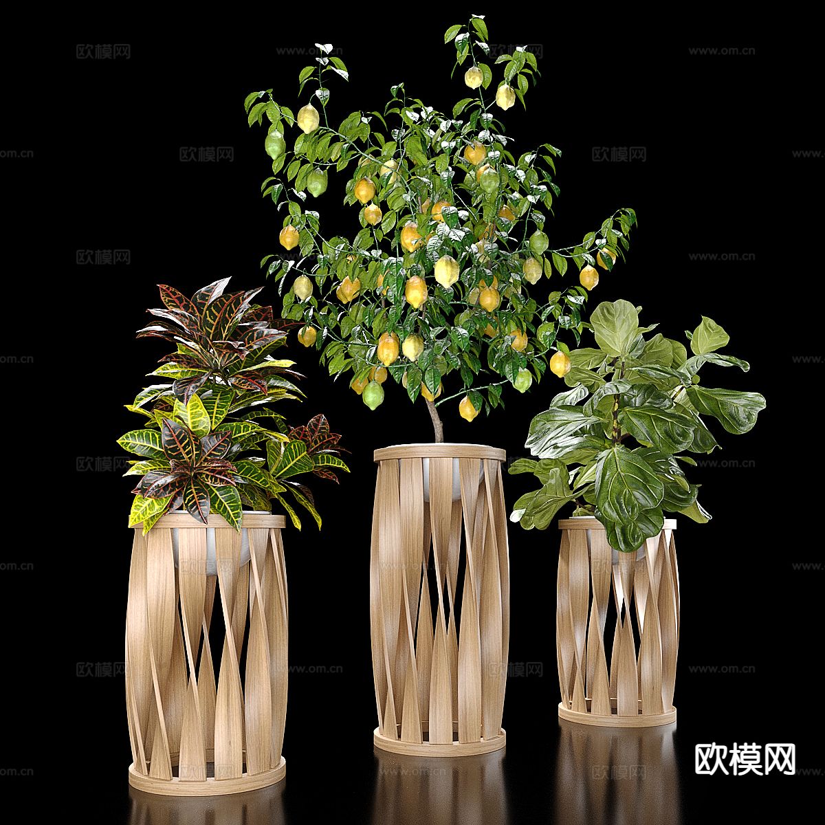 植物盆栽 花盆 绿植3d模型