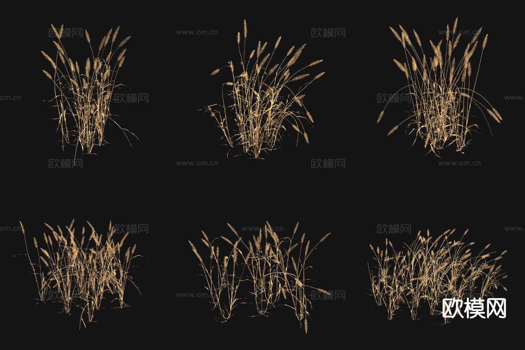 狗尾巴草枯草3d模型