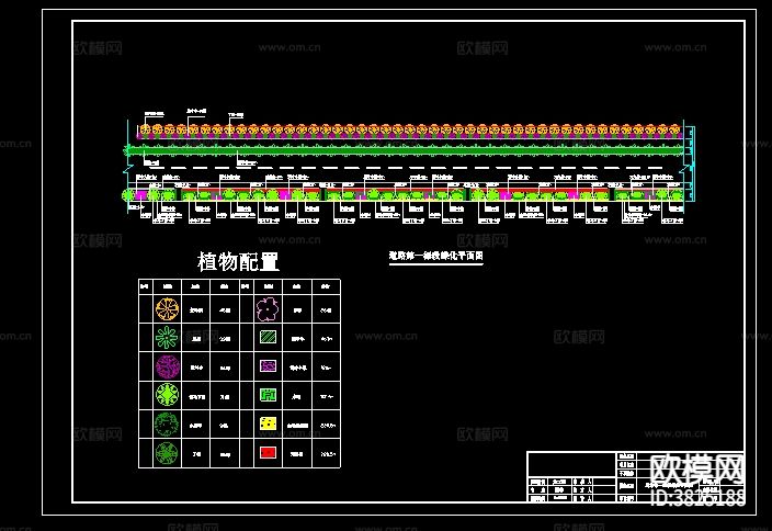 道路绿化cad施工图