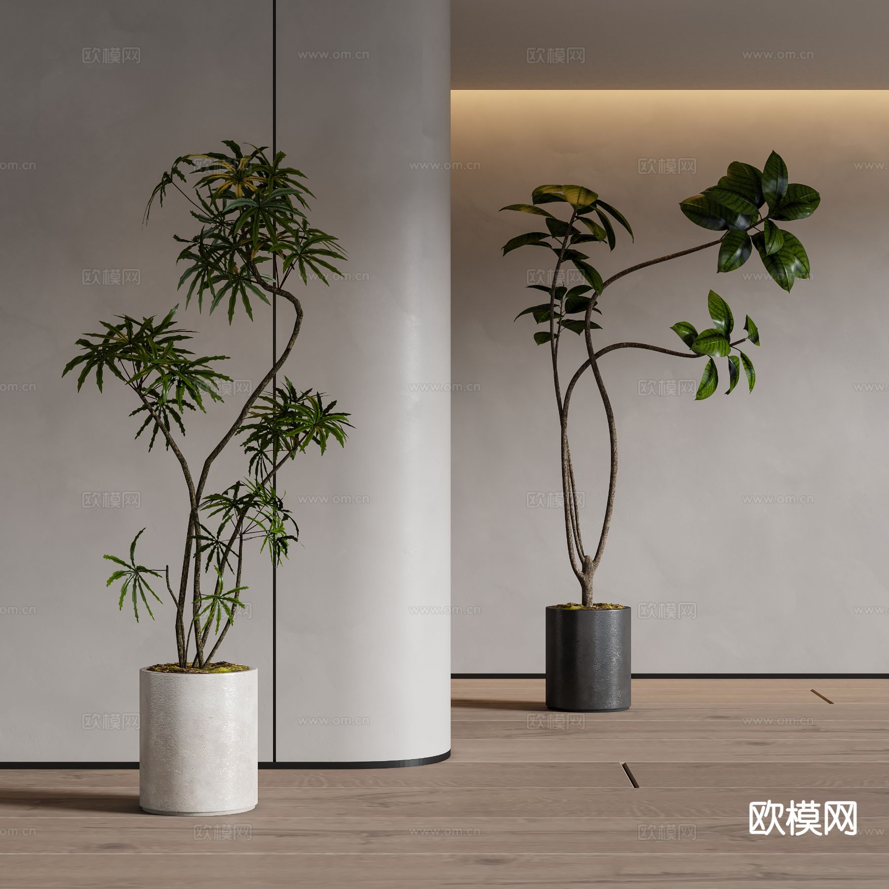 现代绿植盆栽 植物 盆景su模型