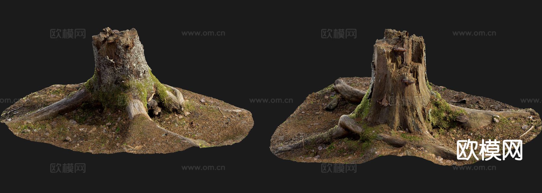 树木 树根 青苔 树皮 树干 枯树3d模型下载