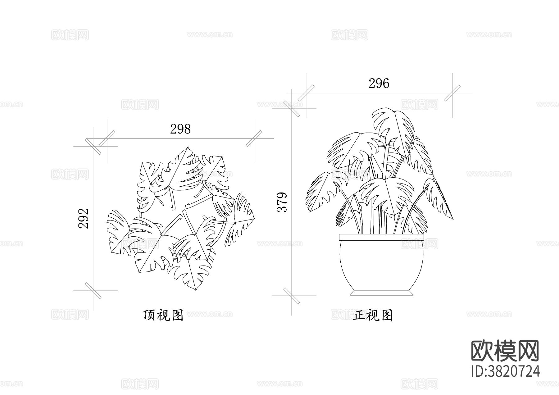 龟背竹盆景cad图库