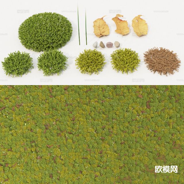 草地 苔藓 草坪3d模型