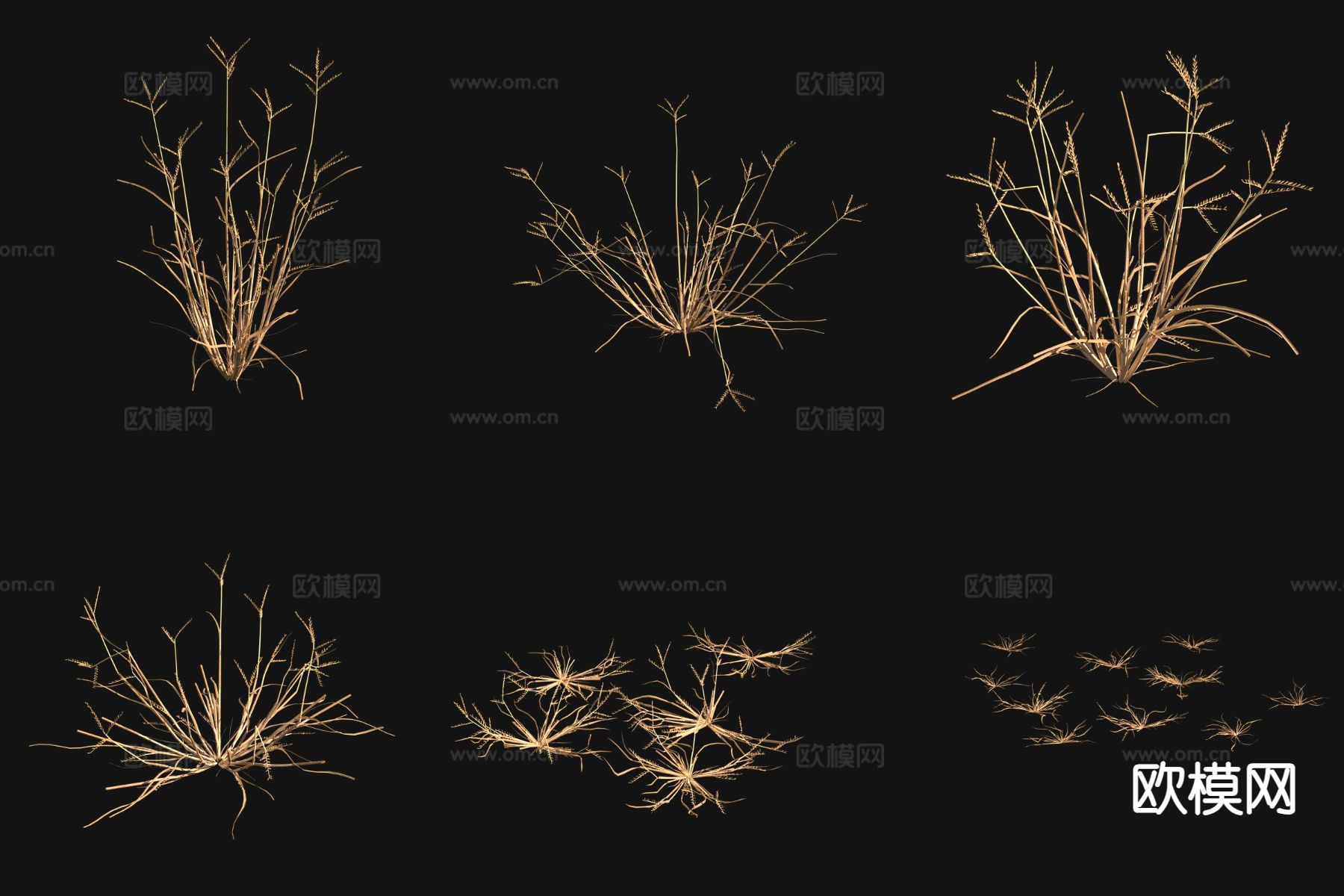 龙爪茅草枯草3d模型