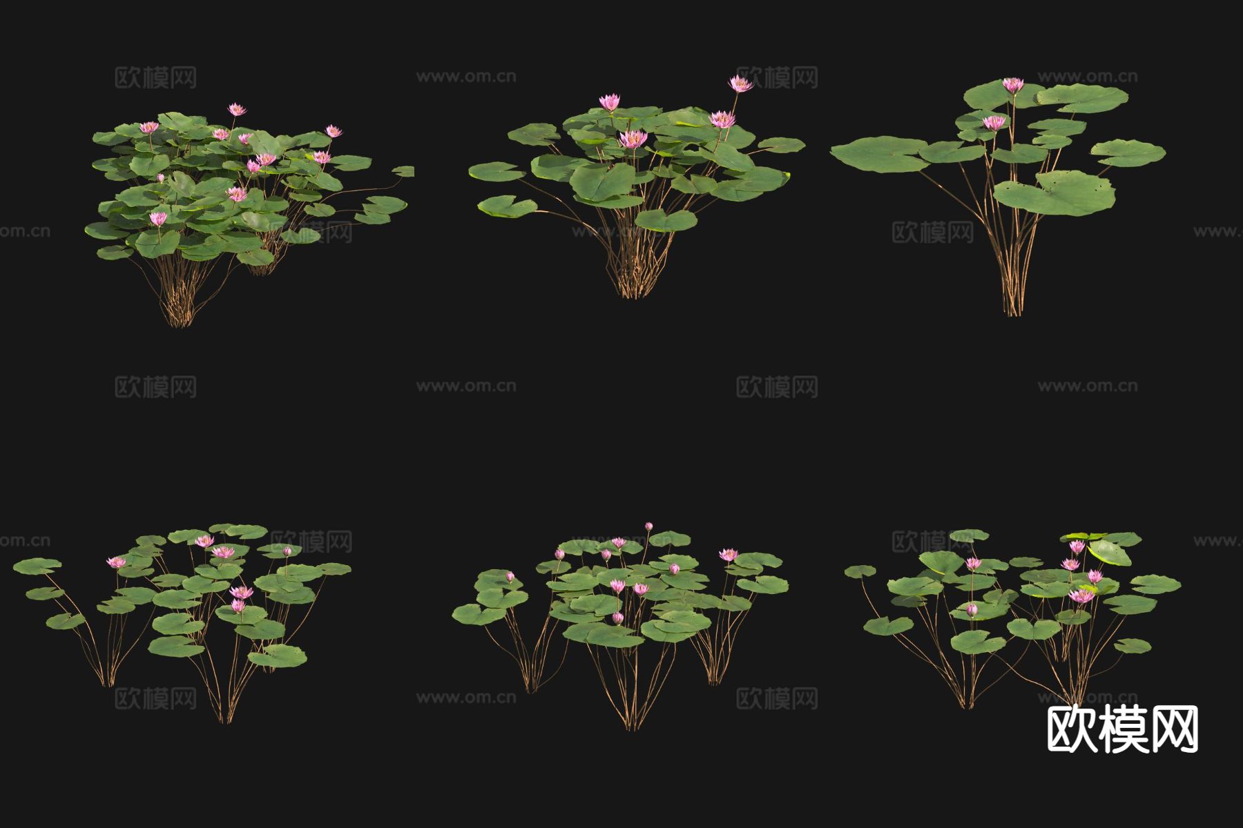 睡莲3d模型下载