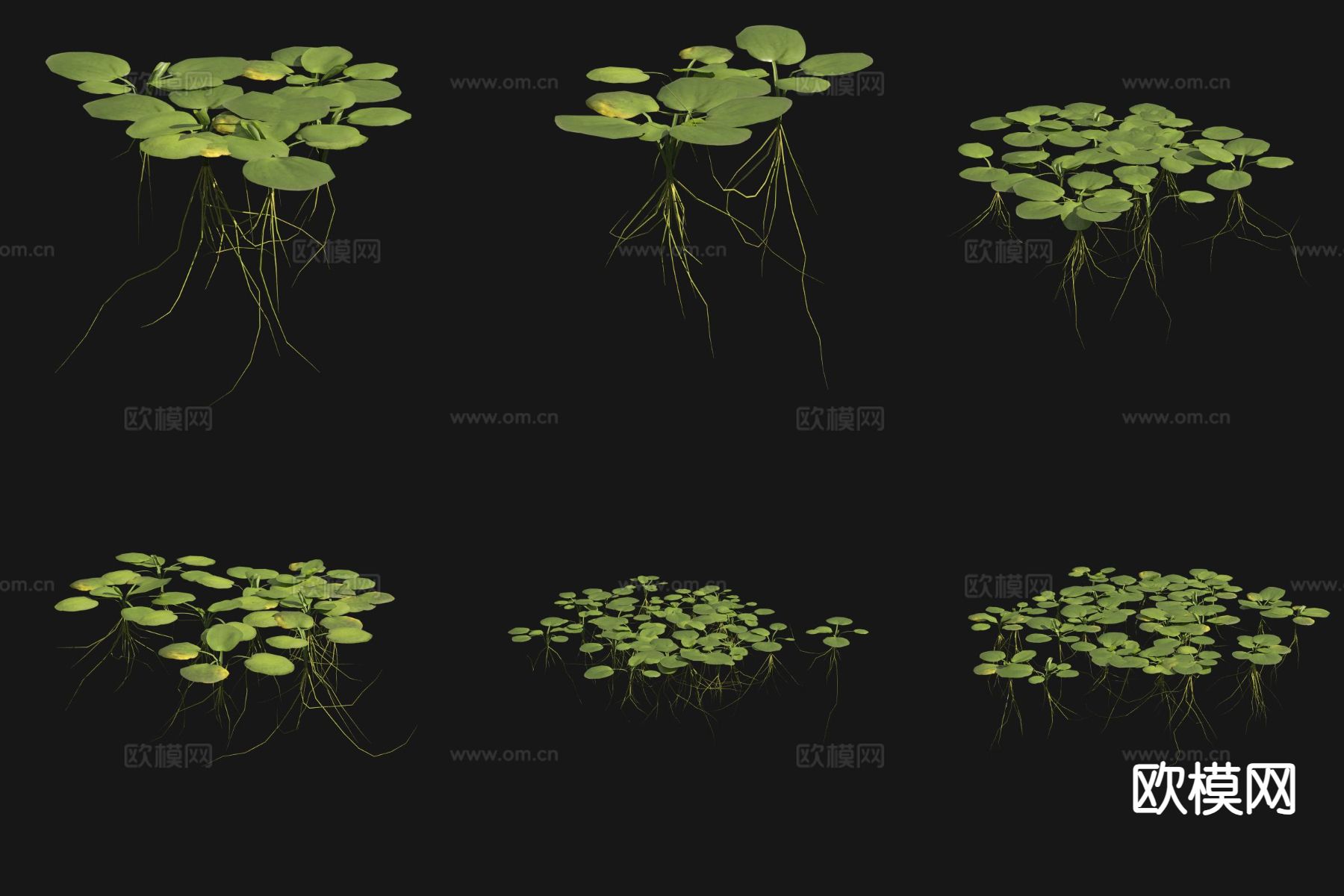 水鬼花3d模型下载