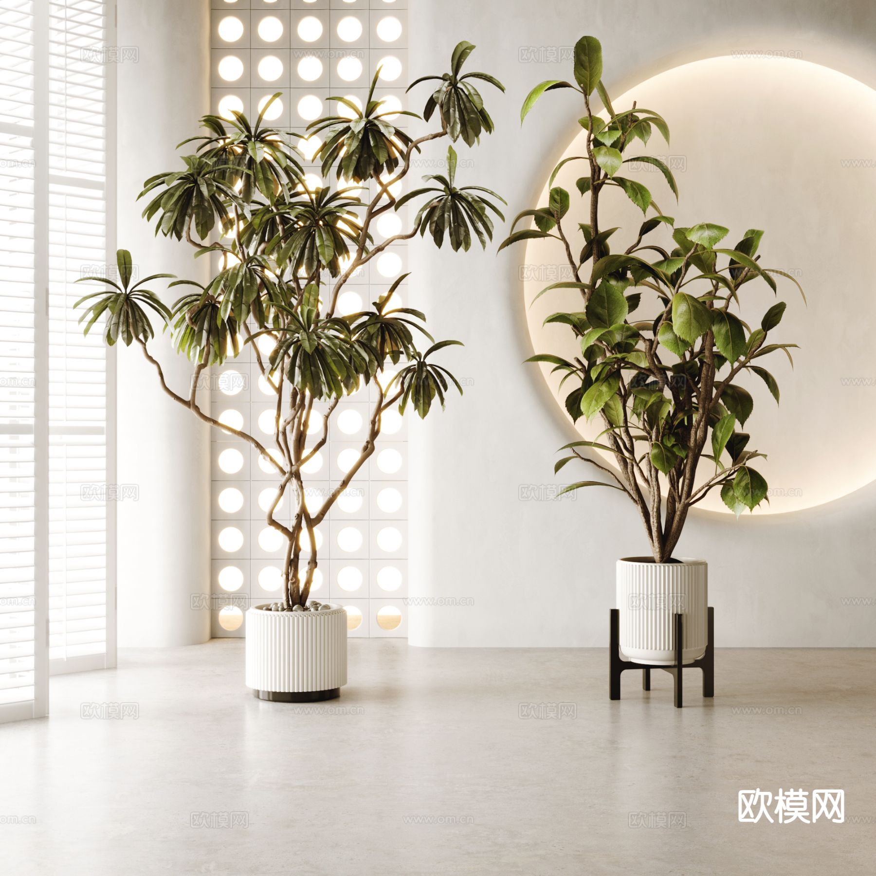 现代植物盆栽 盆景su模型