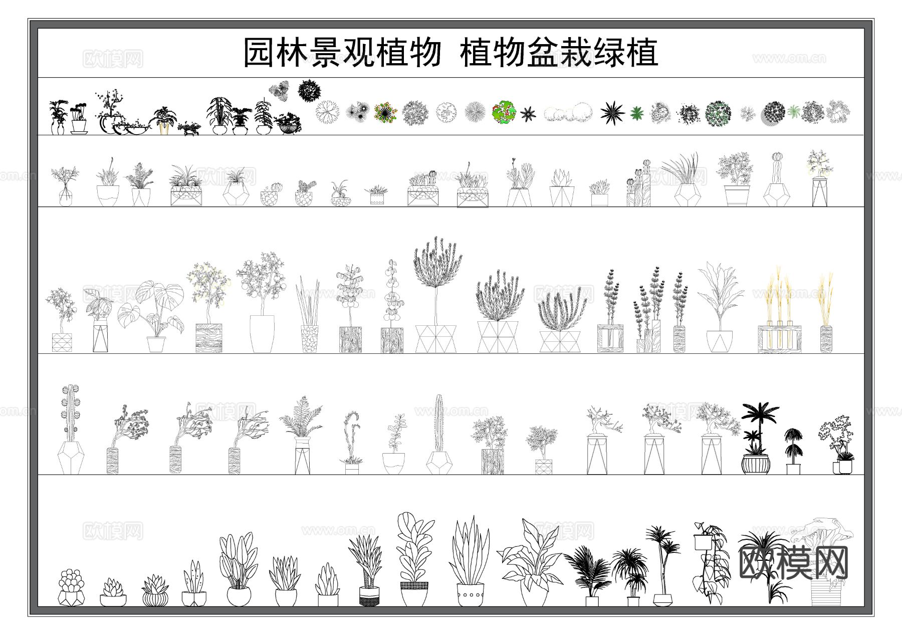 绿植 景观植物 花草树木 绿化苗木 盆栽绿植cad图库