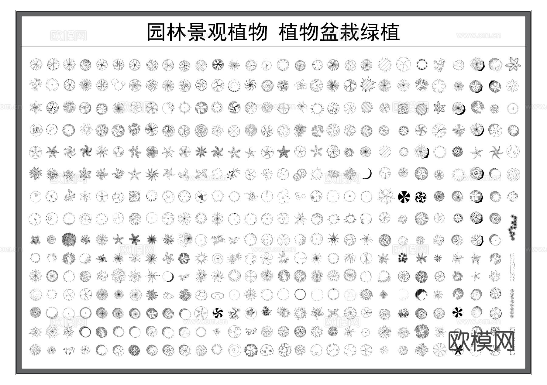 绿植 景观植物 花草树木 绿化苗木 盆栽绿植cad图库