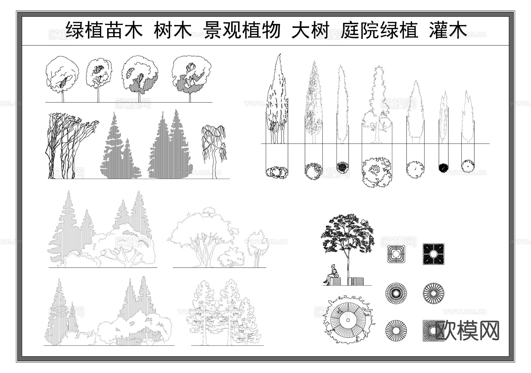 绿植苗木 大树 树木 庭院绿植 园林景观绿化cad图库