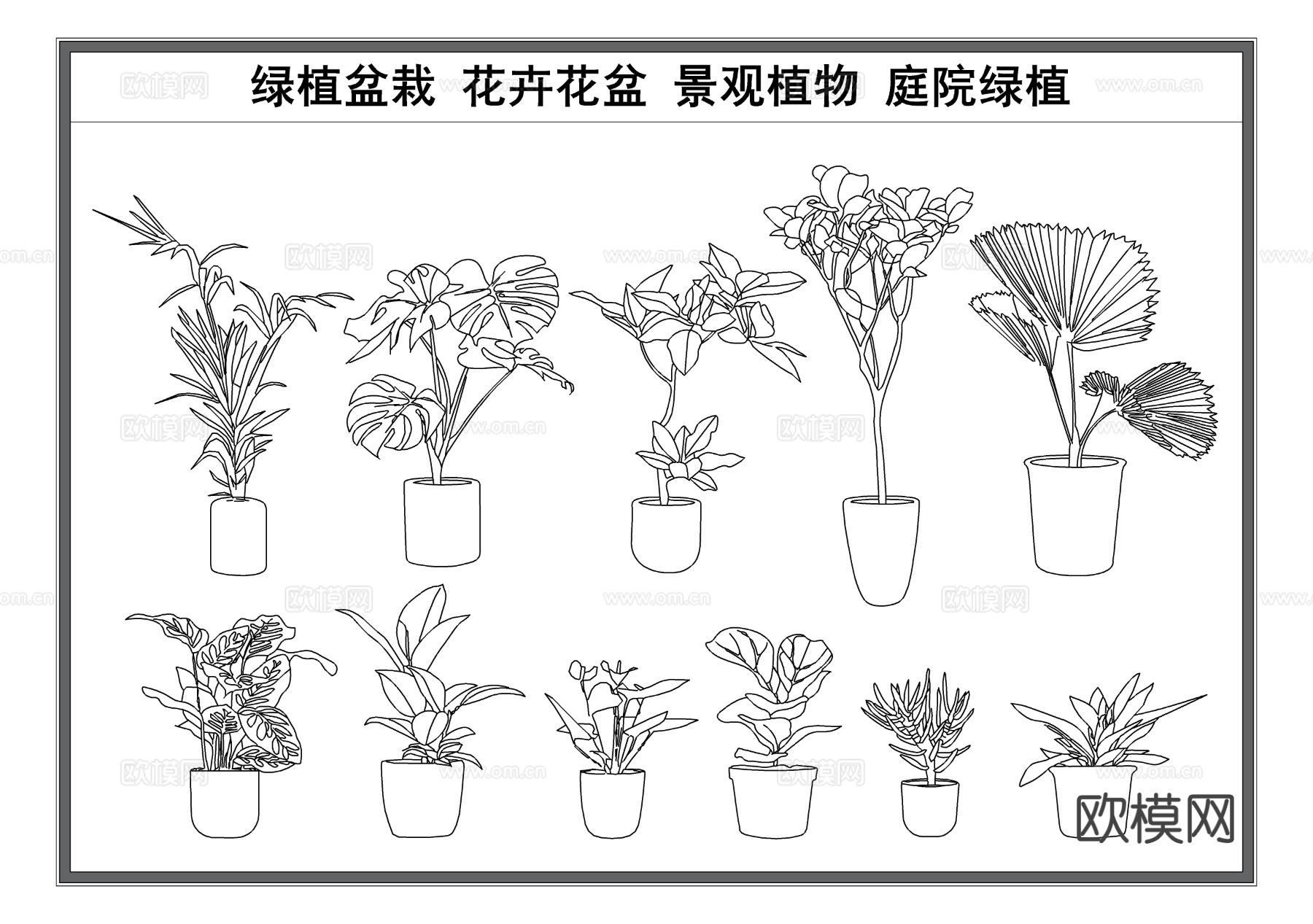 花卉花盆 绿植盆栽 植物景观 盆栽植物cad图库