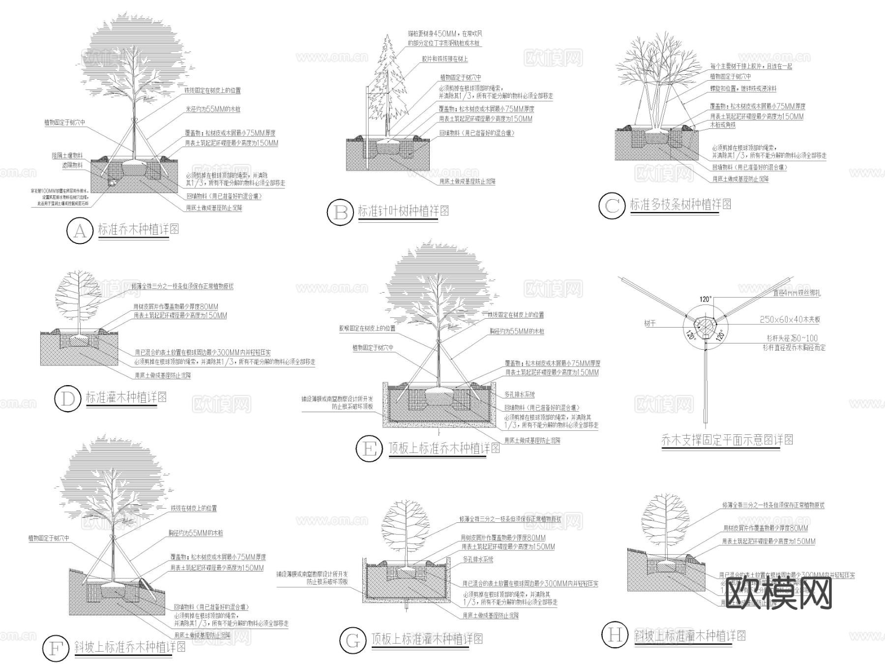 2025年最新植物绿化种植设计说明cad大样图