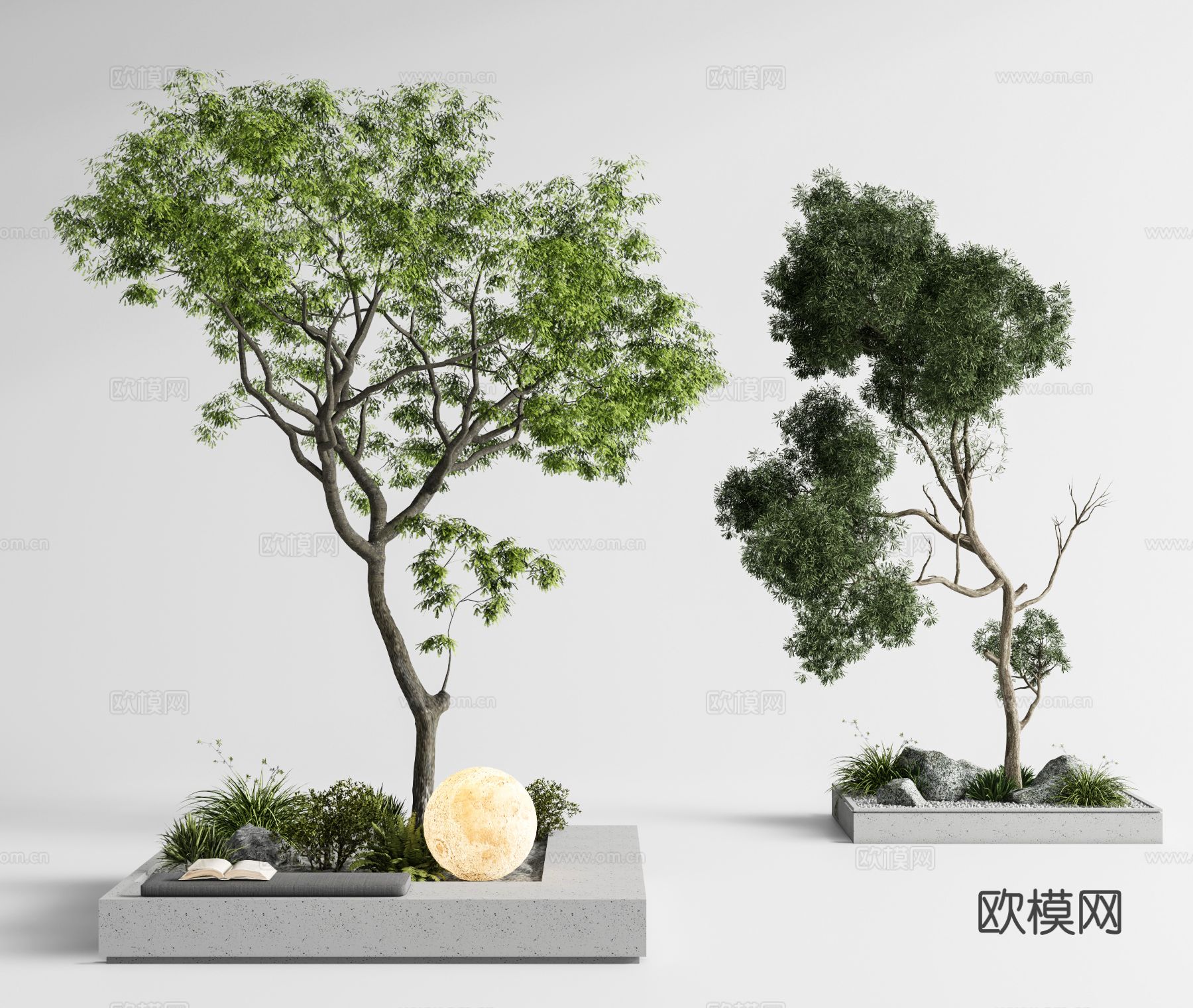 现代景观树 庭院乔木 树池3d模型