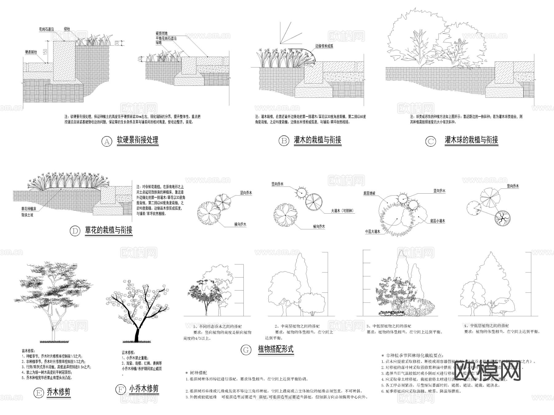 2025年最新植物绿化种植设计说明cad大样图