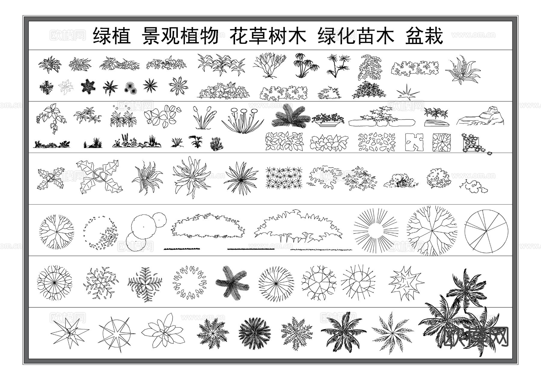 景观绿植 花草盆栽 绿化苗木 植物花盆 绿植CAD图库