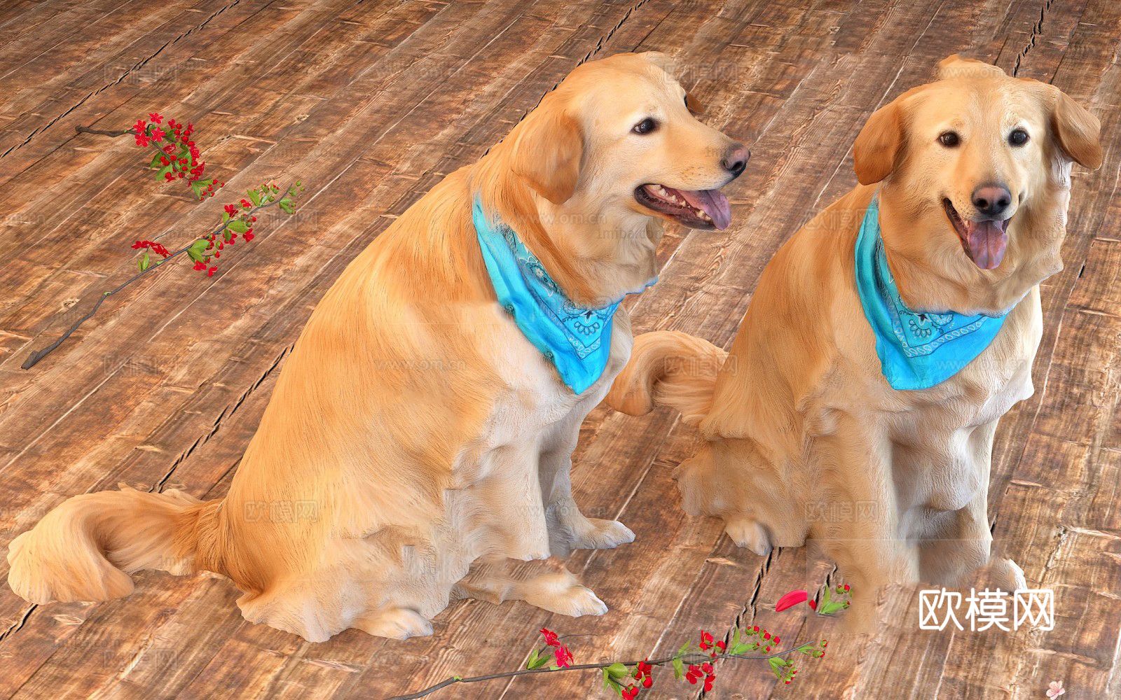 金毛 狗 宠物3d模型下载